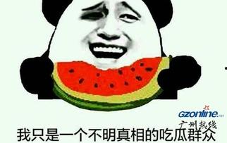 微信吃瓜表情是什么意思怎么回复,趣味互动背后的含义及回复技巧