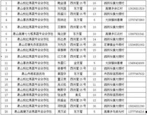 娱乐性质的瓜怎么吃,如何轻松享用娱乐八卦大餐