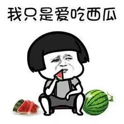 吃瓜娱乐酱头像图片,娱乐酱头像下的欢乐时光