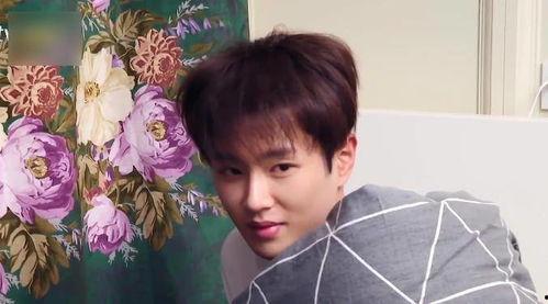 娱乐吃瓜酱少爷是谁,他是谁?在娱乐圈有何影响力?