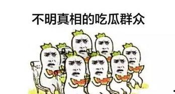娱乐吃瓜群众分享文案